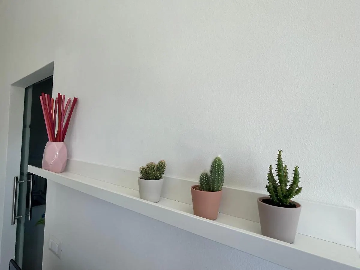 Flamingo Apartment ليدو دي بومبوسا